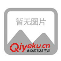 供應意大高壓柱塞水泵 高壓泵調壓閥 加濕設調壓閥